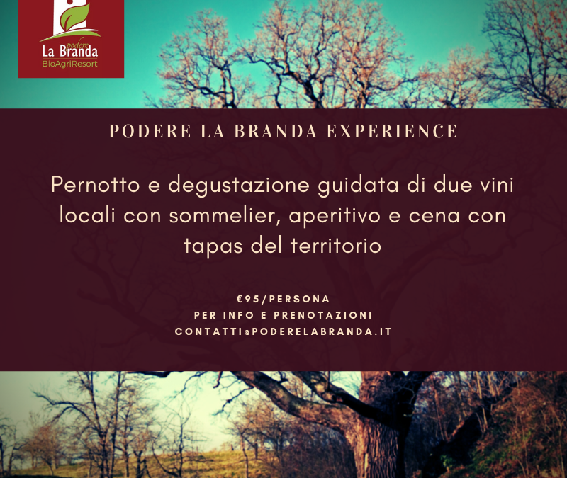 WINE & FOOD EXPERIENCE