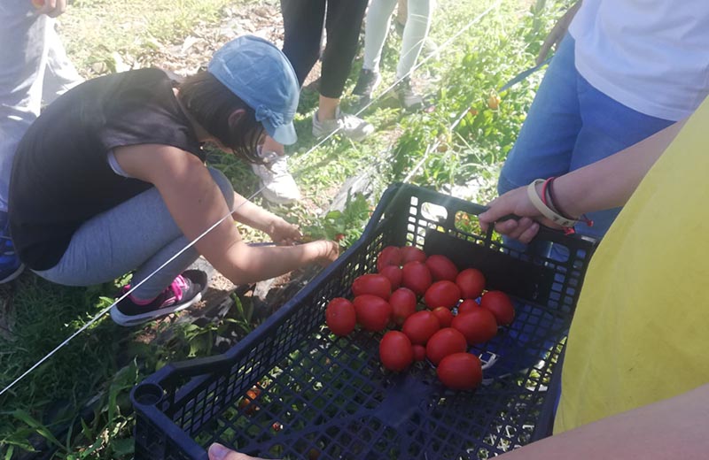 Didactic Farm Latium | Enviromental Education Laboratories 