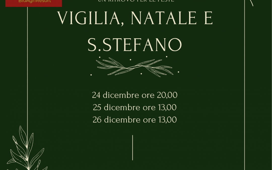 FESTE DI NATALE